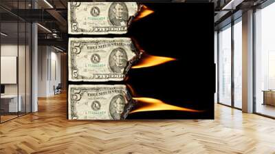 Burning dollars Wall mural