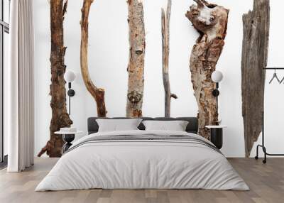 Dry tree branches Wall mural