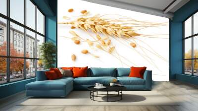 Ears of wheat isolated on white background Wall mural