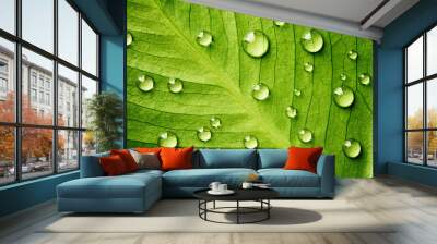 Green leaf with drops of water Wall mural