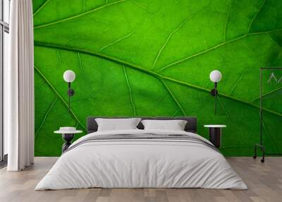 Green leaf Wall mural