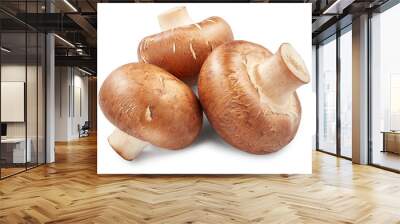 Mushrooms isolated on white background Wall mural