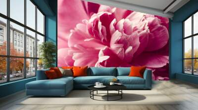 peony flower Wall mural