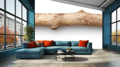 tree stick Wall mural