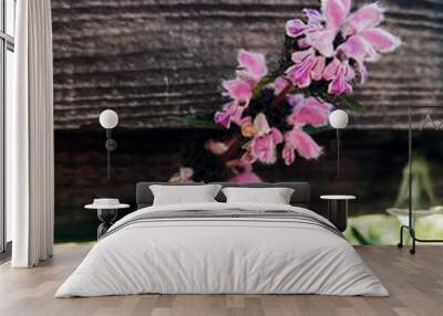 pink flowers on wooden background Wall mural