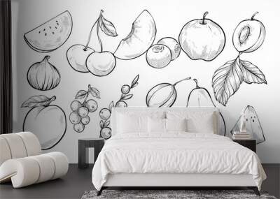 fresh fruits handdrawn collection Wall mural