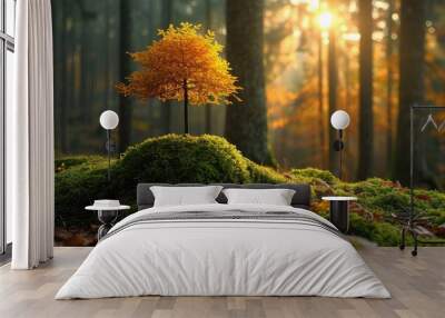 beautiful natural peaceful professional photography Wall mural