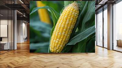 Close-Up of a Ripe Yellow Corn Ear in a Cornfield Wall mural