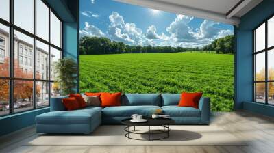 view of a grass field landscape professional photography Wall mural