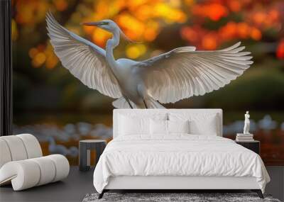 White Egret Bird Landing on Water with Fall Colors in Background Wall mural