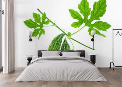 Bitter gourd or bitter melon (Momordica Charantia) with green leaf on tree branch isolated on white background. Wall mural