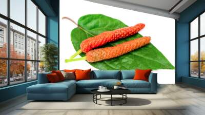 Fresh Idian long pepper ( Piper Longum, Piper retrofractum ) with green leaves isolated on white background  Wall mural