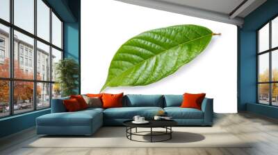 green cocoa leaf isolated on white Wall mural