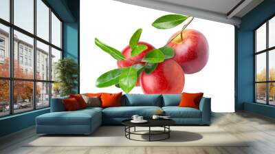 red apple with leaves on tree branch isolated on white	 Wall mural