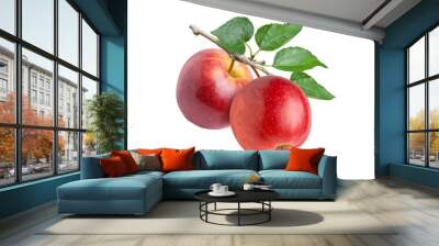 Two red apples with green leaves hang on branch isolated on white background. Wall mural