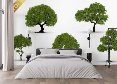 Beautiful tree on a white background Wall mural