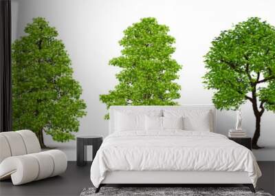 Beautiful tree Realistic  on a white background. Wall mural