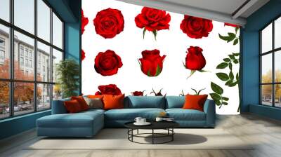 Rose flower set of blooming plant. Garden rose isolated icon of red blossom, petal and bud with green stem and leaf for romantic floral decoration, wedding bouquet and valentine greeting card  Wall mural