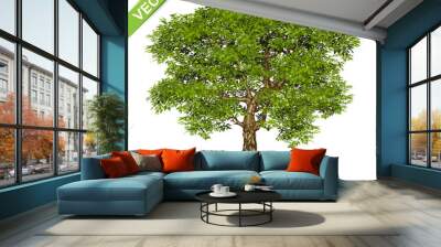 Trees Isolated on White Background Wall mural