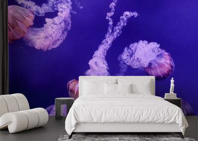 Jellyfish floating in the sea. I feel healing just by looking. Wall mural