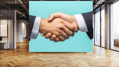 Two business professionals shaking hands in a show of agreement Wall mural