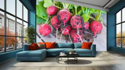 fresh organic bunch of radishes on wooden background Wall mural