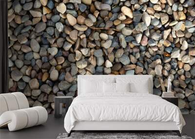 Abstract background and texture of colorful pebble in the garden Wall mural