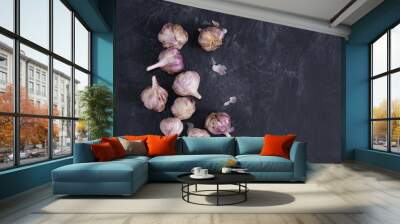 few garlic heads on dark background. top view. copy space Wall mural