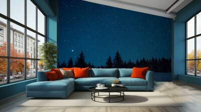 Christmas trees on the background of the starry winter sky. Wall mural