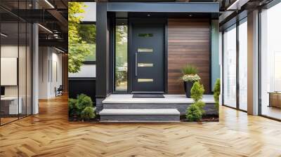 Modern Black Fiberglass Front Entry Door, Single Door With One Sidelite Wall mural