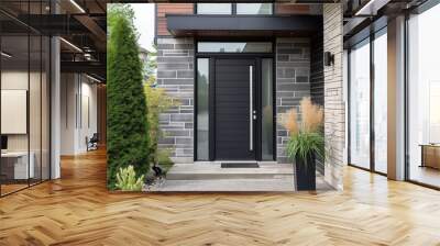 Modern Black Front Exterior Door, Single Door With Two Sidelites Wall mural