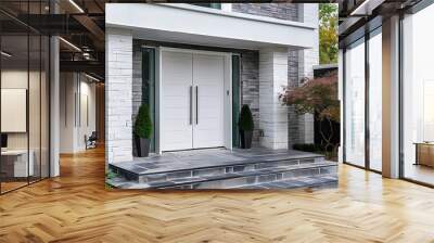 Modern White Double Entry Doors With Sidelights Wall mural