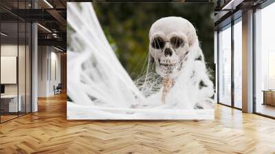 Plastic Skeleton Covered in Fake Web for Halloween Decoration Wall mural