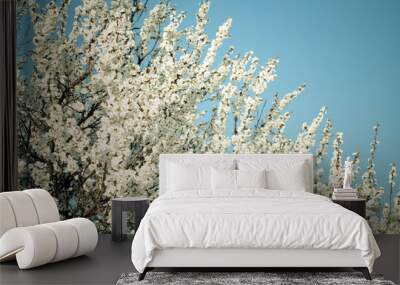 blossom tree on blue Wall mural