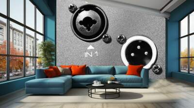 connectors of professional audio speaker Wall mural