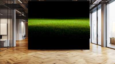 green lawn at night Wall mural