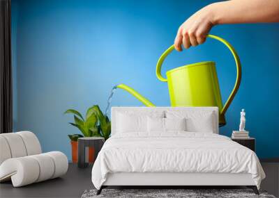 hand watering a plant with watering-can Wall mural