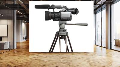 hd camcorder with microphone Wall mural