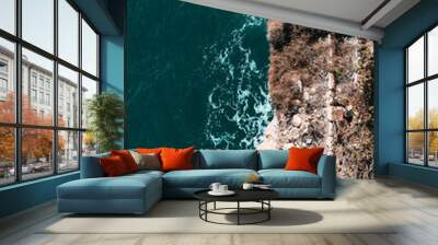 coast line top view Wall mural