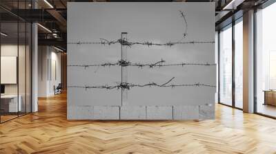 barbed wire fence Wall mural