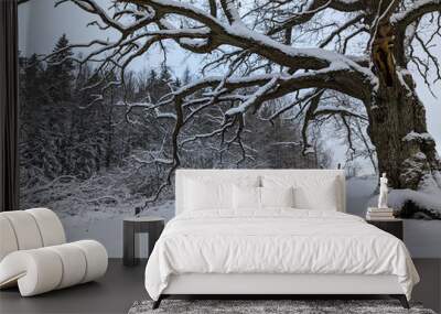 Trees on snow covered field against sky Wall mural