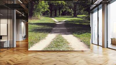 Two walking paths among the grass intersect in the park on a sunny summer day Wall mural