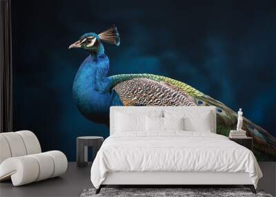 portrait of a peacock with feathers Wall mural