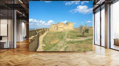 The Akkerman Fortress is a historical and architectural monument. Wall mural