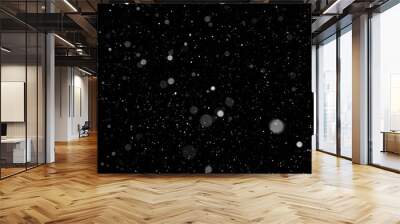 Bokeh of white snow on a black background. Falling snowflakes on night sky background, isolated for post production and overlay in graphic editor. Wall mural