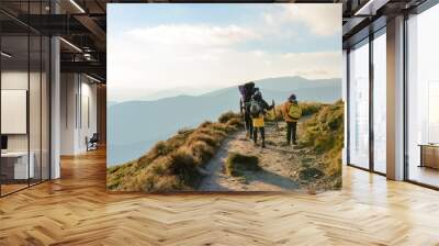 Three young tourists, two little boys and a teenager walk the trails of the Montenegrin ridge, around the top of the Carpathian mountains. Wall mural