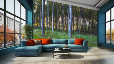 forest Wall mural