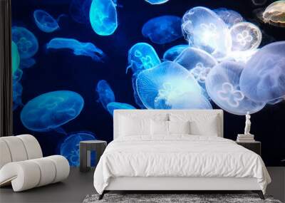 Jellyfish changes colours under fluorescent illumination Wall mural