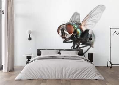 Fly Wall mural