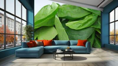 Spinach Wall mural